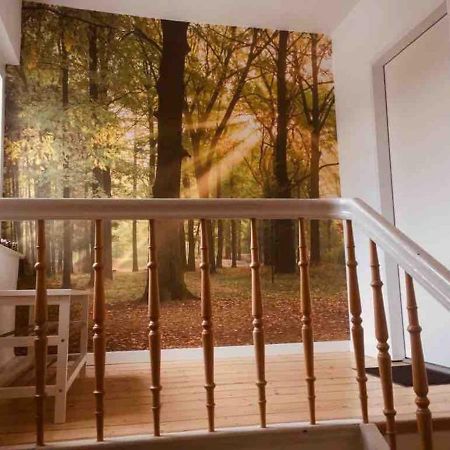Fewo Waldblick Meschede Dış mekan fotoğraf
