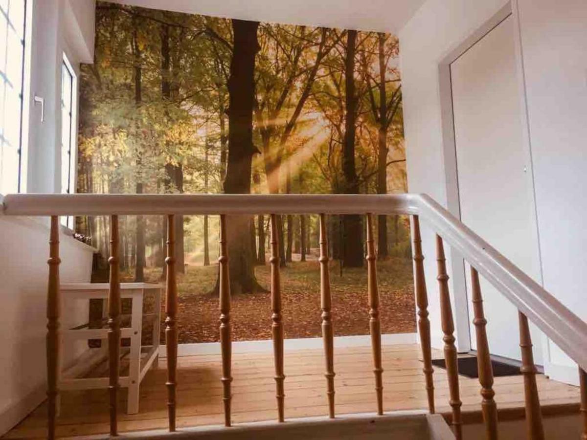 Fewo Waldblick Meschede Dış mekan fotoğraf